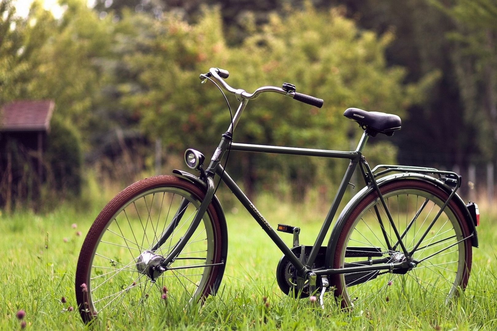 Creative_Wallpaper_Bicycle_on_the_grass_079830_ копия